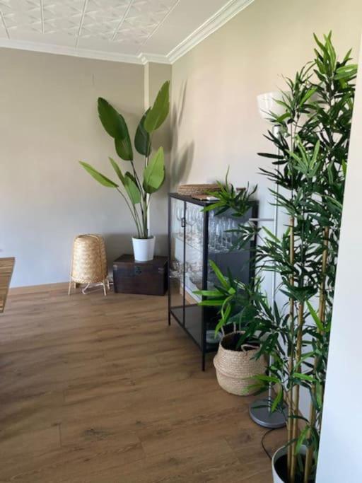 Primera Linea De Mar Y Playa Roses Ngoại thất bức ảnh